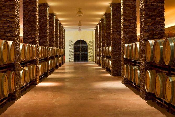 Alentejo Wine Tour from the Algarve - A Full-Day Alentejo Wine Escape From Portimão