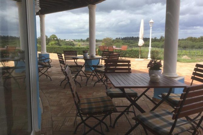 Alentejo Wine Tour from the Algarve - Private Pickup and Why It Changes Your Day