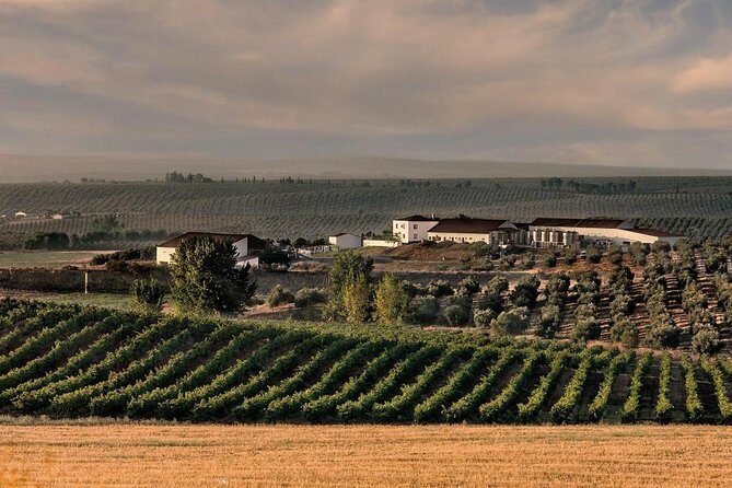Alentejo Wine Tour from the Algarve - Who Should Book This Alentejo Wine Tour From the Algarve?
