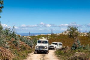 Algarve a la Carte - Monchique Mountains: cork trees, eucalyptus air, and Monte Foia at 902m
