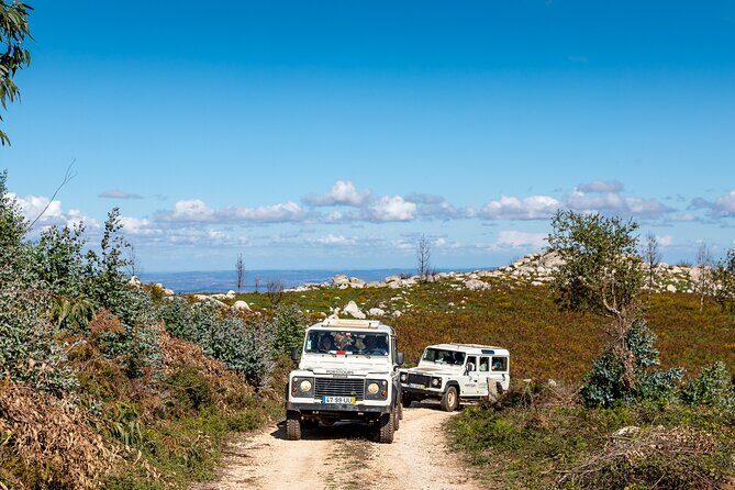Algarve a la Carte - Monchique Mountains: cork trees, eucalyptus air, and Monte Foia at 902m