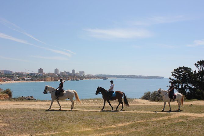 Algarve - Exclusive horseriding in Portimao (no experience required) - Key highlights you’ll feel from the first minute