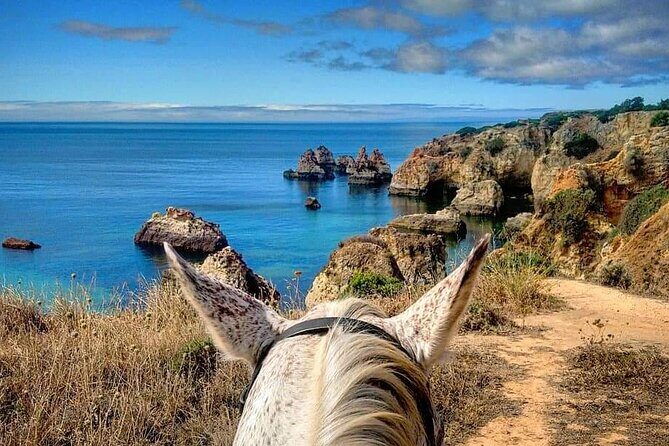 Algarve - Exclusive horseriding in Portimao (no experience required) - Setting out from Alvor: where you meet and what “exclusive” really means
