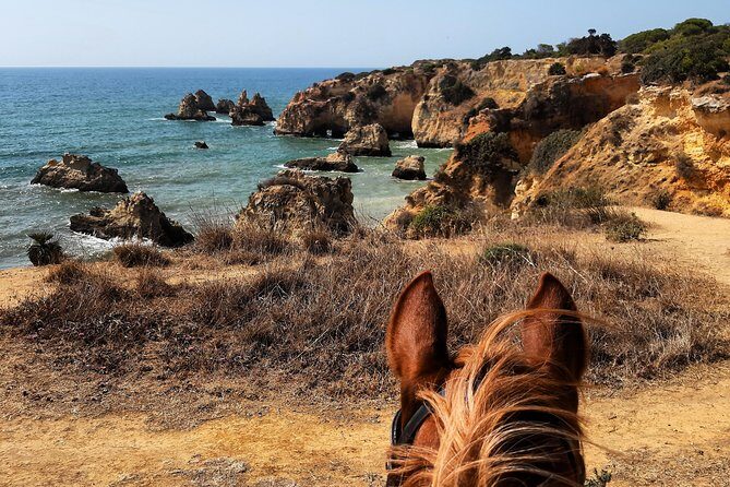 Algarve - Exclusive horseriding in Portimao (no experience required) - Guide attention: what the small group changes in practice
