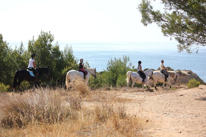 Algarve - Exclusive horseriding in Portimao (no experience required) - Photos and memories: how you get good pictures without stopping the vibe
