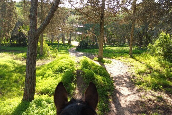 Algarve - Exclusive horseriding in Portimao (no experience required) - Price and value: is $60.49 really fair for this kind of ride?