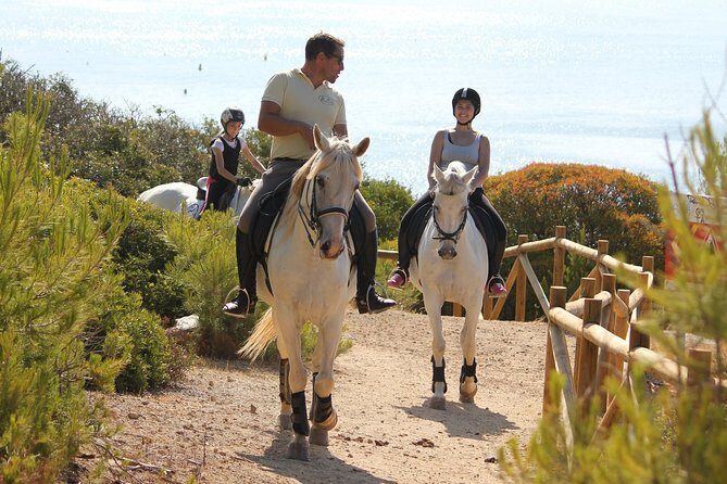 Algarve - Exclusive horseriding in Portimao (no experience required) - Your route to the coast: pine shade, sandy ground, and viewpoint stops