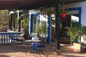 Algarve wine tour and farmer's lunch at wine estate - Stop 3: Quinta do Morgado da Torre and the final tasting wrap-up