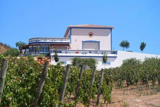 Algarve wine tour and farmer's lunch at wine estate - Getting the most from the day without feeling rushed