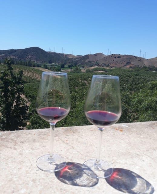 Algarve Wine Tour of two estates guided by wine expert - Portimão pickup to van rides: simple logistics, low stress