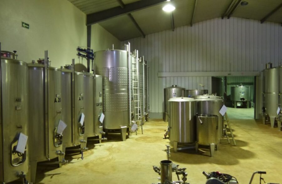 Algarve Wine Tour of two estates guided by wine expert - Stop 1 at the winery: a hands-on look at how grapes become wine