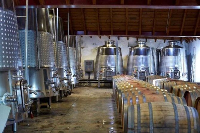 Algarve Wine Tour of Two Wine Estates - Stop 2 at Quinta do Frances: a small, well-equipped winery at the Monchique edge