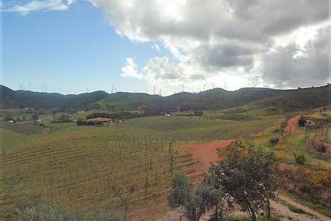 Algarve Wine Tour of Two Wine Estates - Getting the most from your visit (without rushing yourself)