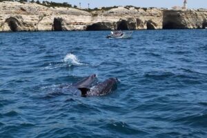 Benagil Caves Tour from Portimao - Carvoeiro and the coastline: why you start with the views