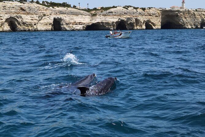 Benagil Caves Tour from Portimao - Carvoeiro and the coastline: why you start with the views