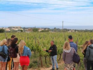 Carvoeiro/Portimão/Alvor: Wine Tour w/ Tasting, Tapas, Music - Vineyard walk basics: what you learn about Algarve wine