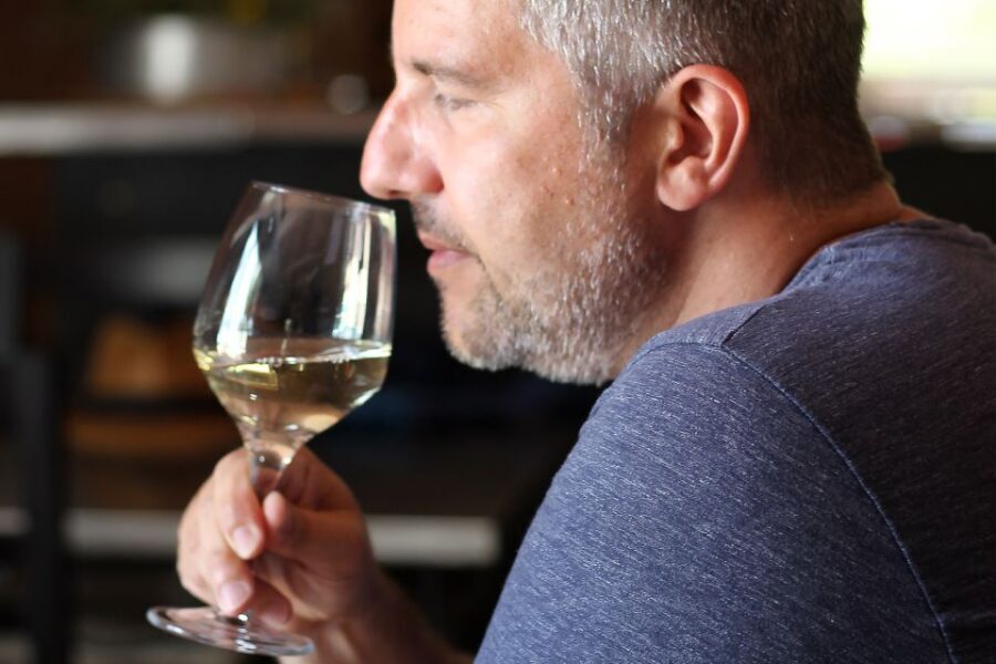 Carvoeiro/Portimão/Alvor: Wine Tour w/ Tasting, Tapas, Music - Live Portuguese music: Paulo’s singing as part of the show