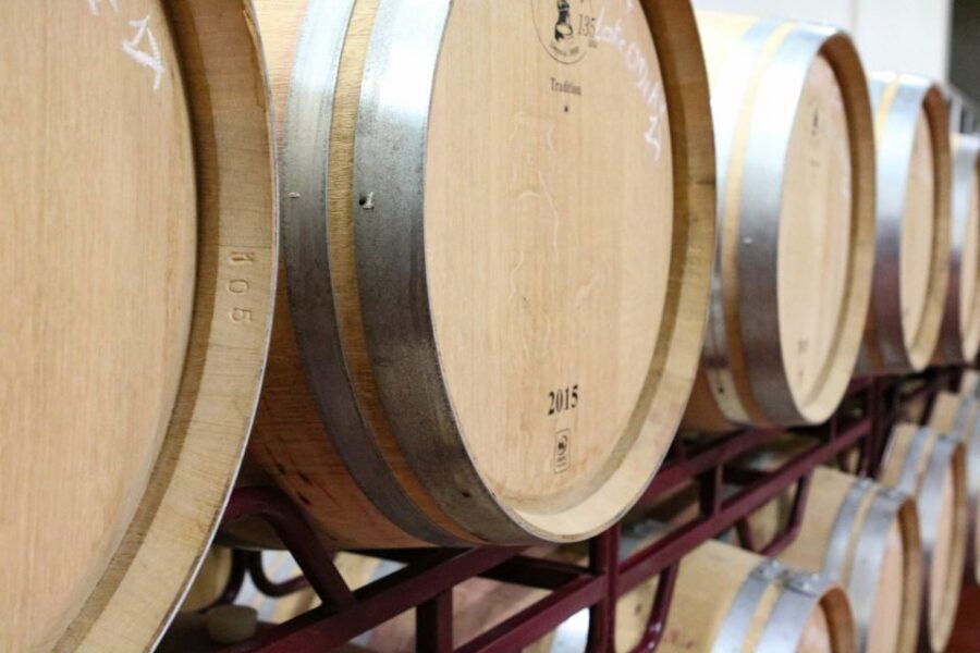 Carvoeiro/Portimão/Alvor: Wine Tour w/ Tasting, Tapas, Music - Transport and timing: getting there smoothly from Portimão, Carvoeiro, and Alvor