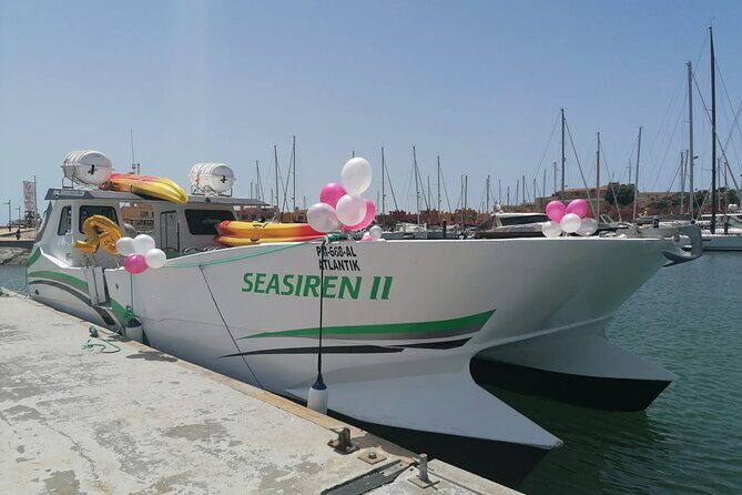Catamaran Private Tour - Benagil & Marinha Beach - (28 PAX) - Key Things You’ll Notice on This Private Catamaran Tour