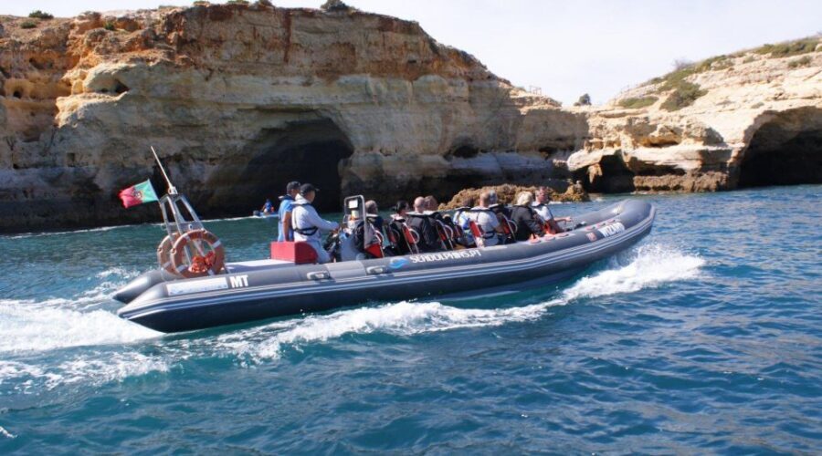 Dolphins Watching - Portimão - Praia da Rocha Dolphin Watching for 1.5 Hours