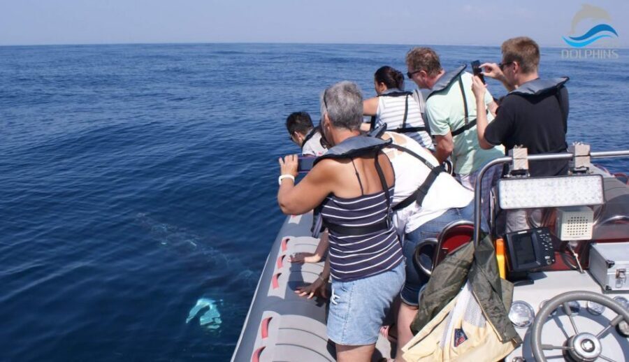 Dolphins Watching - Portimão - Portimão Long-Tail Boat Ride: More Sea Time After the Dolphins