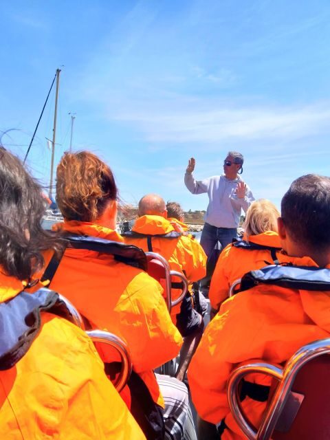 Dolphins Watching - Portimão - Who This Dolphin Trip Suits Best (and Who Should Skip It)