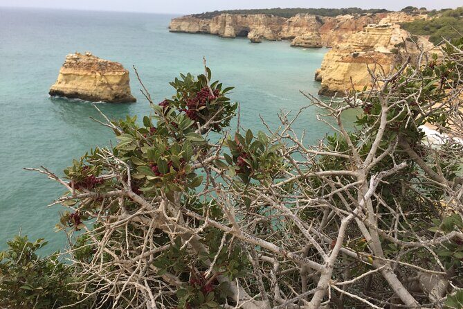 E-Bike Tour: Sete Vales Suspensos Trail (Marinha and Benagil) - How Long It Really Takes (And Why 2 Hours Is the Sweet Spot)