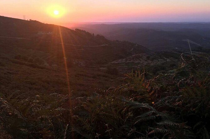 Evening 4x4 Tour of Monchique Hills with Dinner - Your guide makes (or breaks) the experience: Vitor and Ricardo as examples