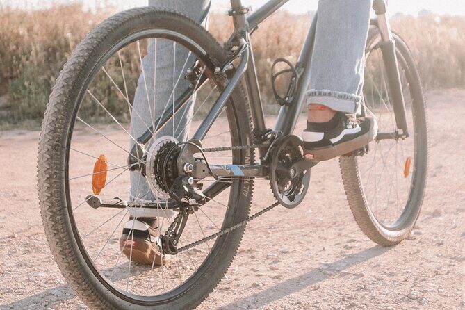 Fat Bikes, e-bikes & Bikes in Ferragudo - From Alvor to Benagil and Carvoeiro: Coast Views Without the Crowd Hassle