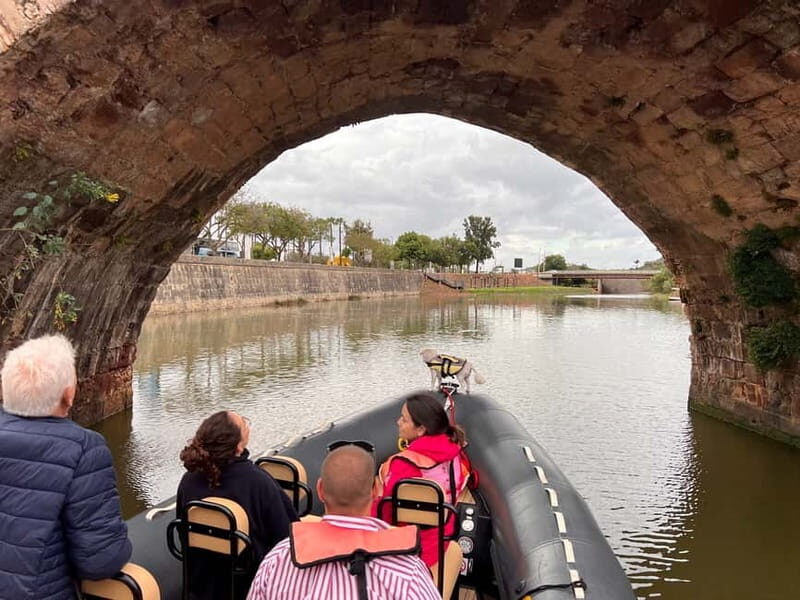 From Lagoa: Visit Silves Town by Boat with Hop Off & Hop On - Wildlife moments: birds, calm water, and picture chances