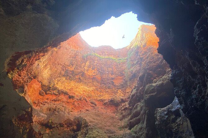 Kayak Tours with Amazing Caves, sea life and Marine Biologist . - Ferragudo and Algarve caves: why this trip feels more personal