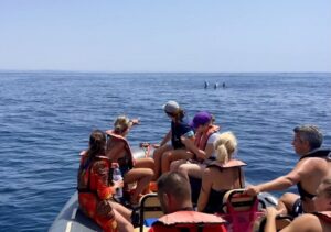 Lagoa: Dolphin Watching & Benagil Tour with Biologist Guide - The guides: why Ana and Pedro matter for your experience