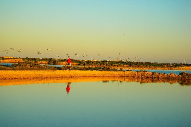 Natural Park Segway Tour with Seafood Lunch in Faro Island - Price and Time: Is $126.17 Worth It?