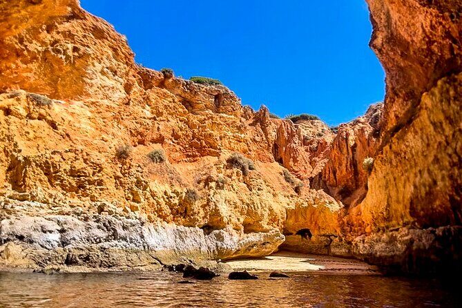 Portimão: Benagil Full Caves + Meal @ Allgarbe, a Local Gem - Key reasons this tour works (and what to watch for)