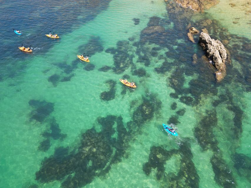 Portimão: Small Group Kayak Cave and Cliff Tour - Price and Value: Is $69 Worth It?