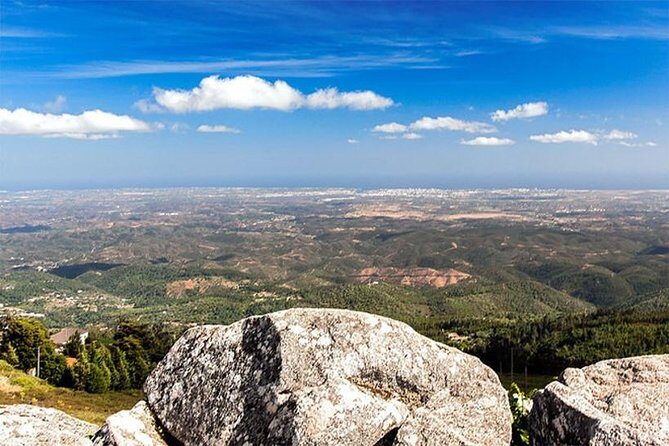 Premium gastronomic mountain tour: Wine, olive oil, spirits, food - Azeite de Monchique + Lagar Dos Pardieiros: Olive Oil Like a Living Museum
