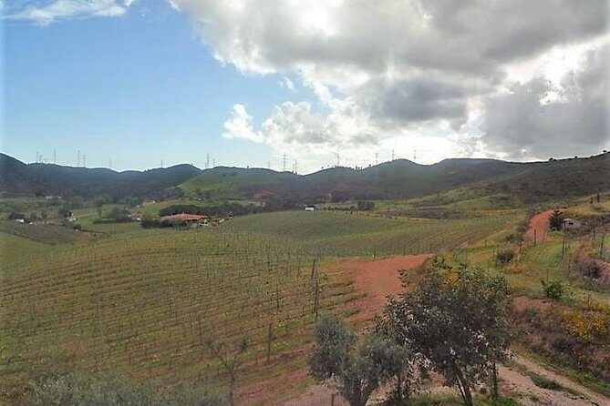Premium gastronomic mountain tour: Wine, olive oil, spirits, food - Price and Logistics: What $345.40 Really Buys You