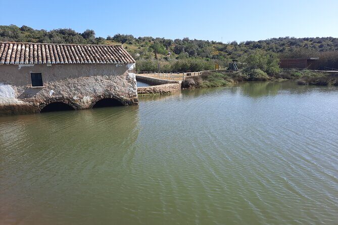 Private Algarve Tour with Typical Lunch, pax min. 2. - Alferce lunch: black pig tasting and medronho