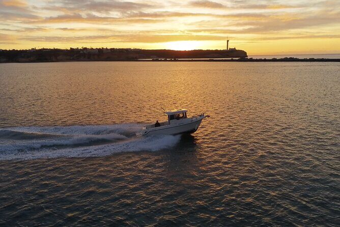 Reef Fishing Experience from Portimao - At the end: taking home memories—and a meal