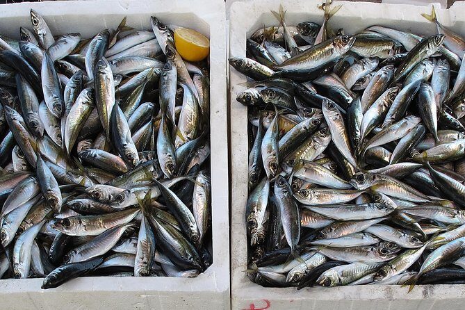 Secrets of the East - Olhão Salt Pans and Mercado Time
