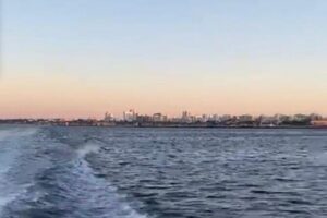 Sunrise Tour to Caves in Benagil - Price and boat-time value: about $40 for a focused coastal run