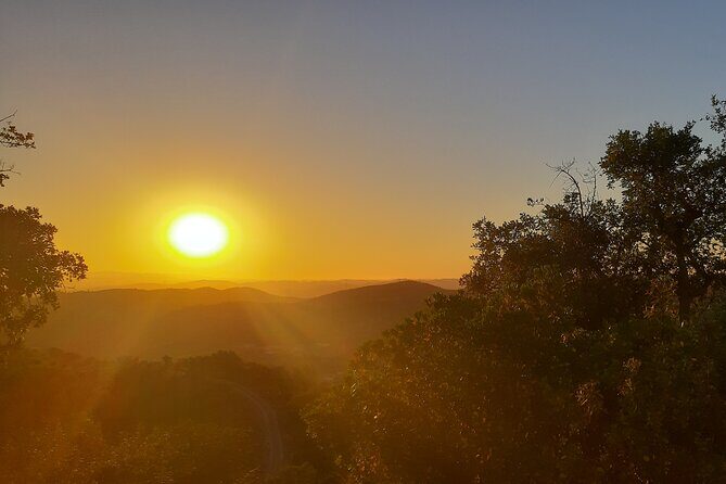 Sunset Safari 4H - Distillery Stop and Free Tasting: A Smart Break in the Middle