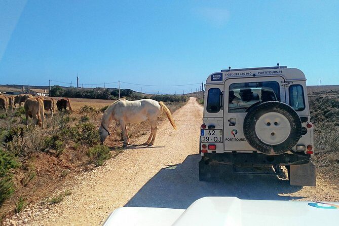 Super Day- Jeep Tour + Arade River Cruise - Key Points at a Glance