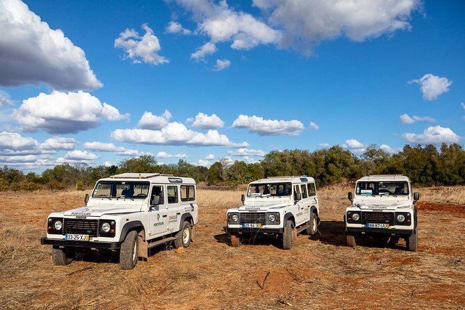 Super Day- Jeep Tour + Arade River Cruise - Honey and Medronho Stops: The Taste Break That Makes It Feel Local
