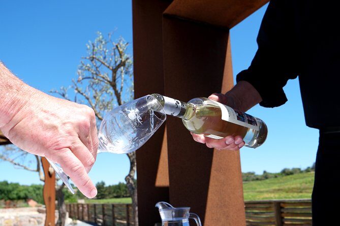 Wine Tasting and Art Tour - Quinta dos Vales: wine estate views and an art garden right in the Algarve